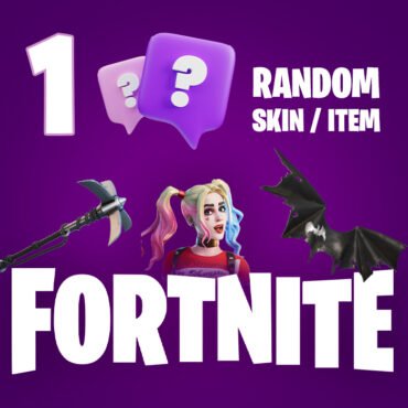 1 Random Fortnite Skin / Item Epic Games CD Key