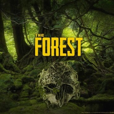 The Forest PS4 Account