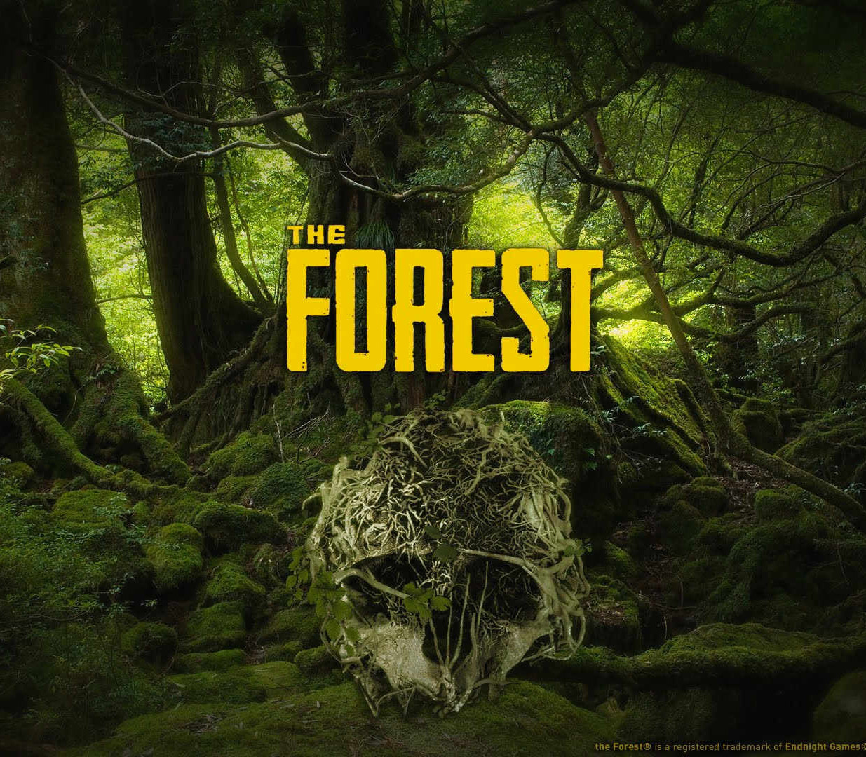 The Forest PS4 Account