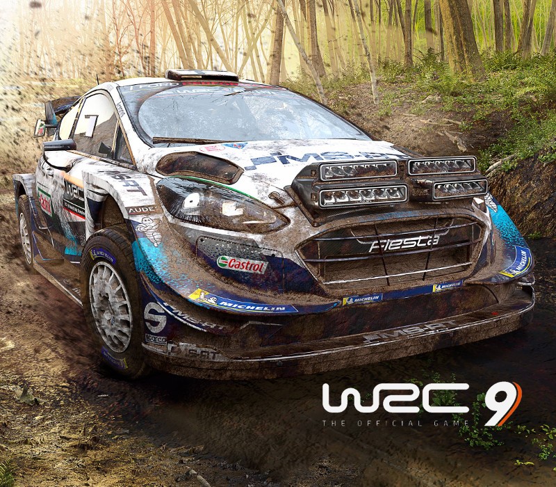 WRC 9 FIA World Rally Championship PlayStation 4/5 Account